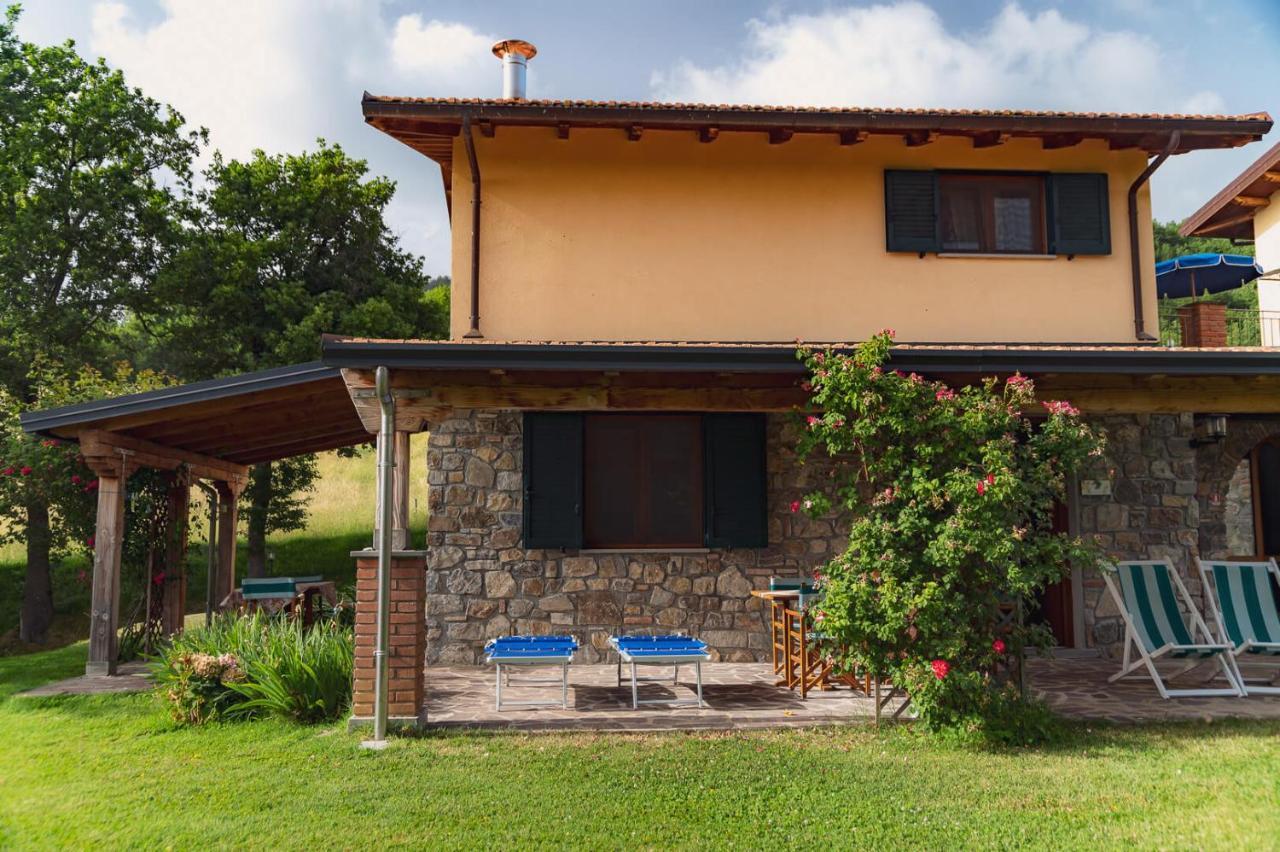 Tripala Apartment